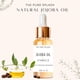 thumbnail image 3 of Aceite de jojoba THE PURE SPLASH Hidratación y reparación profundas, 60 ml, 3 of 8