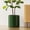 Green, variant on BEMAY 12-Inch Ceramic Plant Pot with Drainage Hole & Plug for Indoor Outdoor Use,Large Indoor Planter for Plants, Mid-Century Modern White Flower Pot (Plant Not Included)