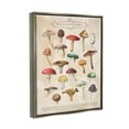 thumbnail image 3 of Stupell Industries Vintage Mushrooms Nature Studies Landscape Painting Gray Floater Framed Art Print Wall Art, 3 of 6