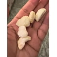 thumbnail image 3 of Trader Joe's Freeze Dried Mangosteen 1.51 oz, 2 bags, 3 of 6