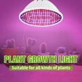 thumbnail image 4 of Gostoto LED Plant Grow Light Bulb 48LEDs-300LEDs SMD2835 Plant Light for Flowers Vegetables Greenhouse Hydroponic Growing(Bulb Base E26 E27 E14 MR16 GU10 B22), 4 of 8