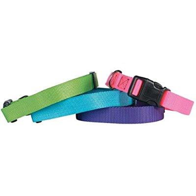 guardian gear nylon adjustable dog collar, fits necks 18 to 26, electric lime