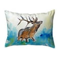 thumbnail image 1 of Betsy Drake KS237 Coussin Sans Cordon 11 x 14 Po. Petit Élan, 1 of 1