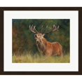 thumbnail image 1 of Great Art Now Stag #1 by David Stribbling, Framed Wall Art, 22.25W x 18.5H, 1 of 3