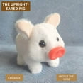 thumbnail image 6 of Fufafayo under $5 Plush Pig Toy, Plush Pig Toy, Stuffed Animal with Vertical Ears, Soft Cuddly Companion for Bed, Nursery, Playroom, Interactive Plushies for Toddlers, Birthday Gift, 6 of 6