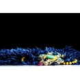 thumbnail image 6 of Unique Loom Marilyn Monroe Opulence Shag Collection Area Rug - (2' x 3' Rectangle Aegean Blue), 6 of 8