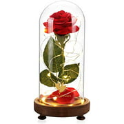 Dream of Flowers Beauty and The Beast Red Rose with Fallen Petals in A Light Dome USB Powered, Home Decoration Valentines Day Gift, Romantic Rose Gift for Women Girl