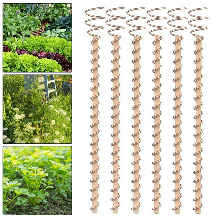7 Pack Electroculture Plant Stakes - Electroculture Gardening Copper Coil  Antennas with 12 Long Solid Copper Stake, Electro Culture Gardening Copper  Stakes for Growing Garden Plants and Vegetables : : Garden