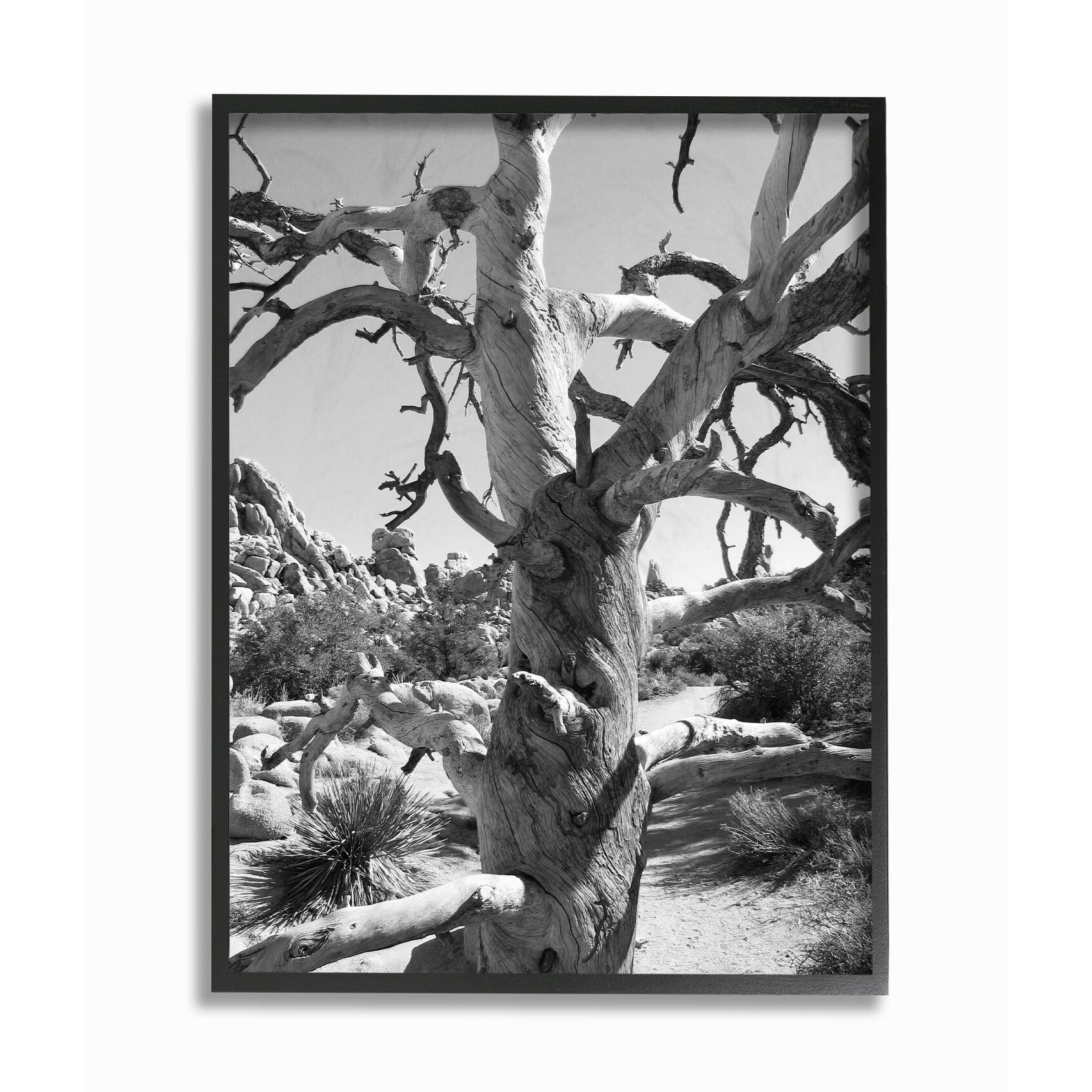 Stupell Home Décor Print Classic Framed Art Print, by In House Art