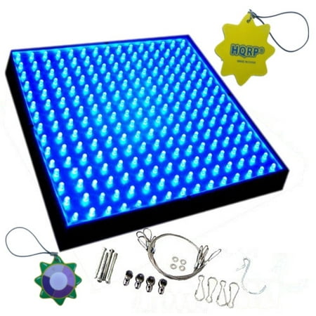HQRP 14W 225 Blue LED Grow Light Panel for growing Flowers Bonsai, Orchids, Saffrons, Hibiscus + Hanging Kit + UV (Best Grow Lights For Orchids)