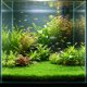 thumbnail image 4 of Tapete de Césped Artificial para Acuario: Sustrato Vegetal Denso y Realista para El Paisajismo de Peceras | Decoración de Césped Acuático Simulado, No Se Desprende, Tapete de Plástico Suave Seguro pa, 4 of 6