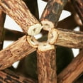 thumbnail image 6 of SPRING PARK Catnip Chew Toys for Cats Natural Silvervine Sticks, Catnip Bell Ball Cleaning Teeth Molar Tools Matatabi Chew Sticks Teeth Grinding Chew Toys for Cat Kitten Kitty, 6 of 7