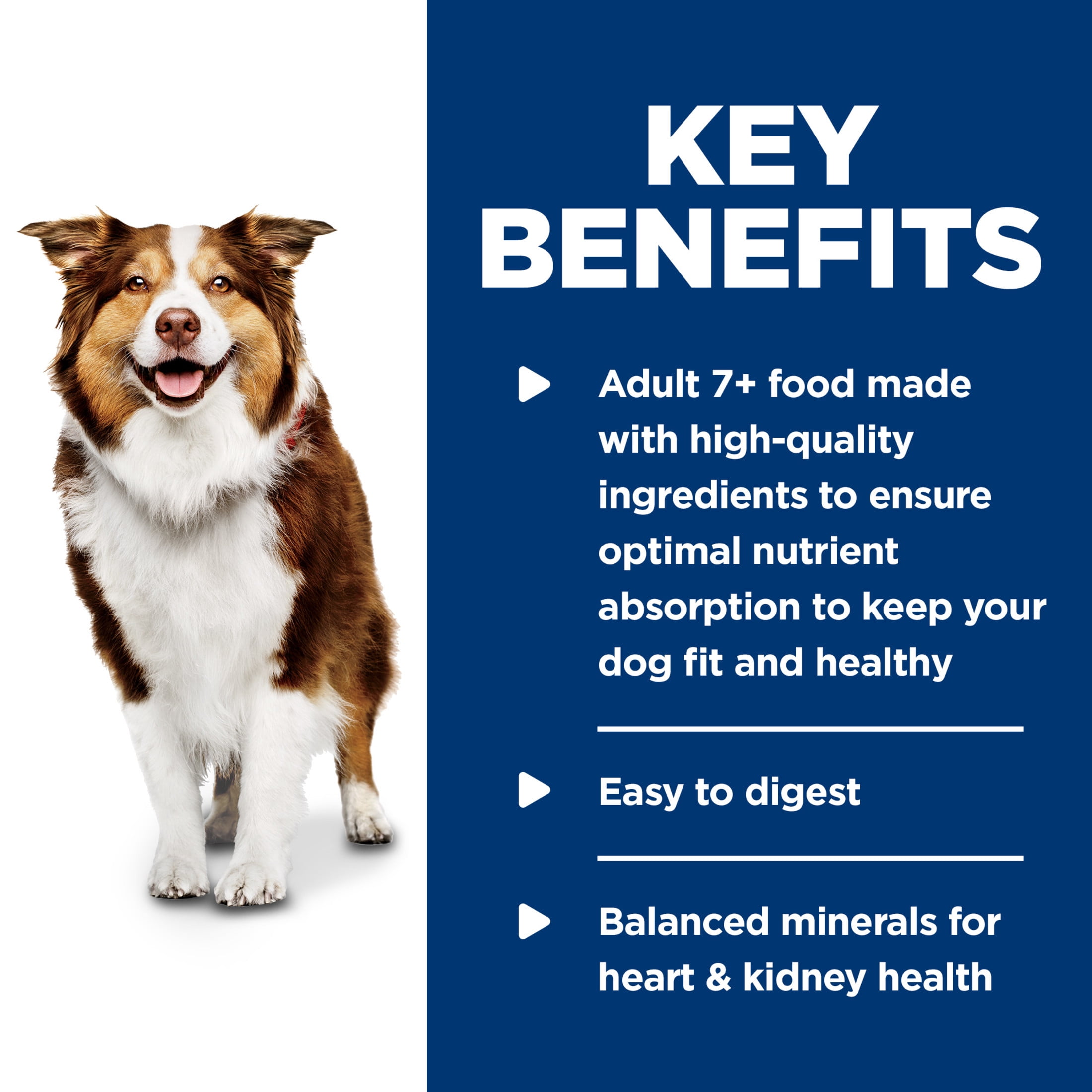 Hill's Science Diet Senior 7+ Canned Dog Food, Chicken & Barley Entrée, 13 oz, 12 Pack wet dog food