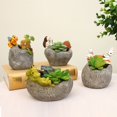 thumbnail image 2 of Baozhu Succulent Plant Pot, Cute Animal Shape Indoor Bonsai Plant Pots for Cars Desks & Home Decoration, 2 of 3