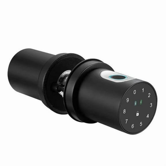 4 in1 Smart Fingerprint Door Knob, Thumbprint Biometric Door Lock, Passcode Keypad Keyless Entry Door Lock with Handle, for Bedroom Home Hotel Office Apartment, Black