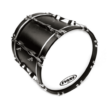 Ambassador Coated White Drum Head - 32