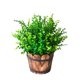 thumbnail image 1 of 5 Pcs Greenery Mini Potted Plants Decorative Plants Artificial Eucalyptus Simulation Plants, 1 of 3