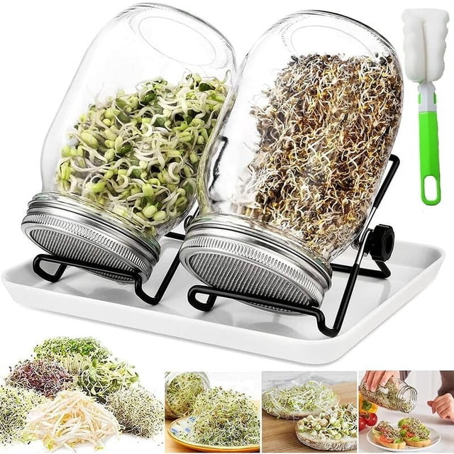 Sprouting Jar Kit, the Key to Easy Sprouting of Various Seeds, Including Screen Sprout Lid, Adjustable Stands, Stainless Steel Sprouting Caps, and Multipurpose Jars for a Healthier Lifestyle (2 Pack)