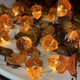 thumbnail image 4 of Luces decorativas JASHIKA 3D Acorn, 10 pies, 30 LED, USB con batería, 4 of 8