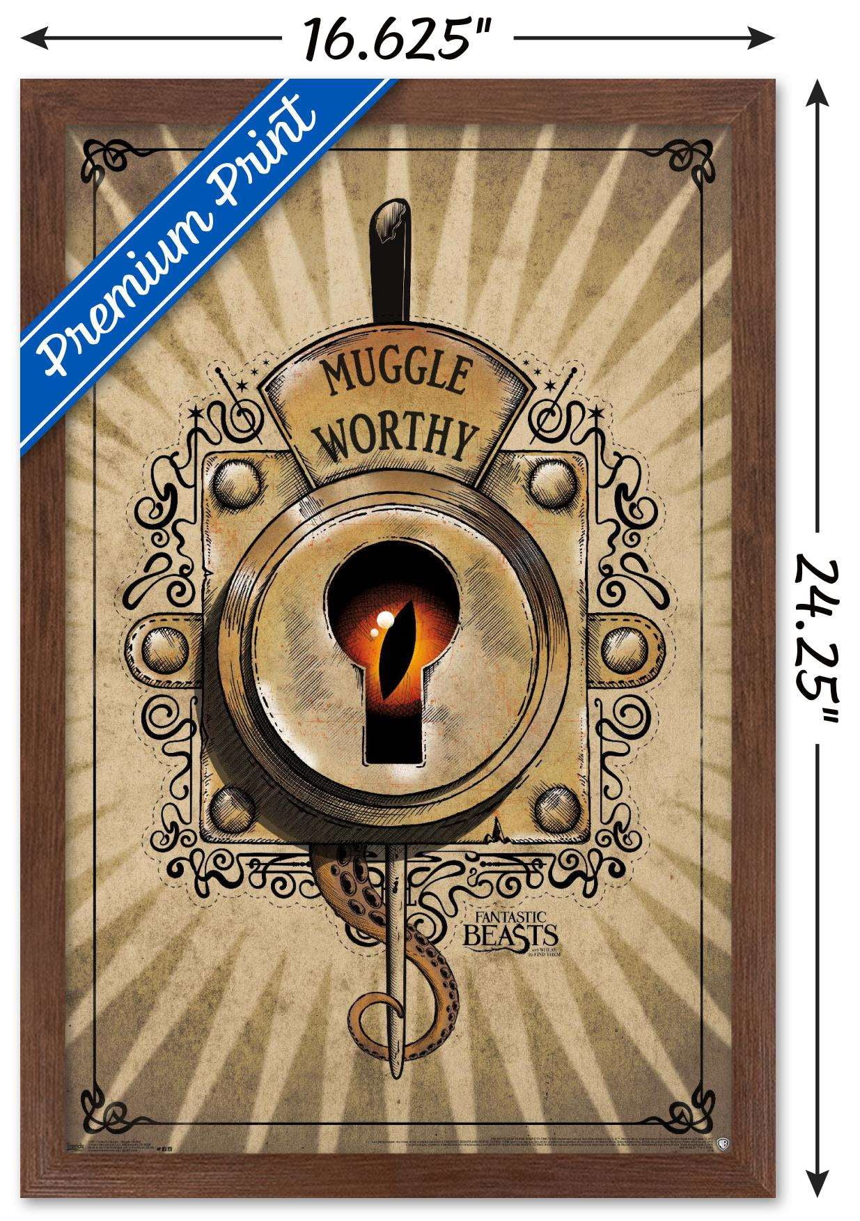 Fantastic Beasts And Where To Find Them - Muggle Worthy Wall Poster, 14.725" x 22.375", Framed