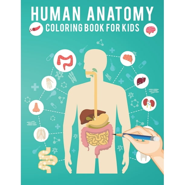 Download Human Anatomy Coloring Book For Kids Human Body Coloring Pages Fun And Educational Best Way To Learn About Human Anatomy Gift For Kids Boys Girl Toddlers Paperback Walmart Com