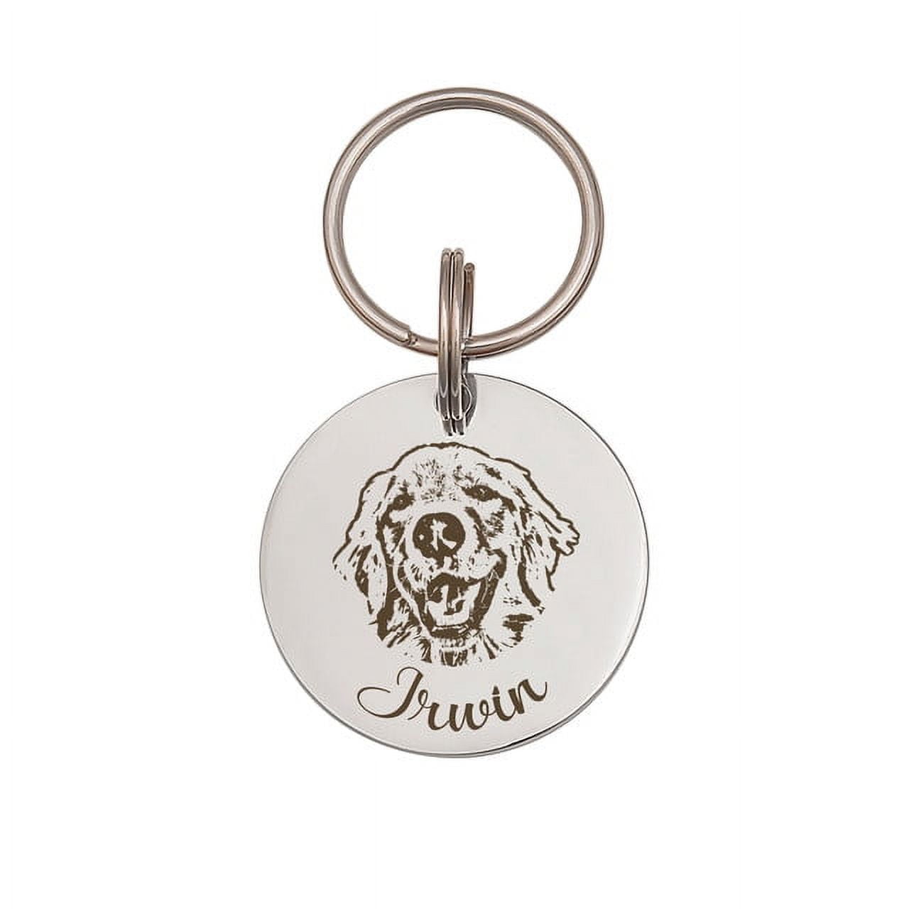 Anavia Stainless Steel Double Sided Round Name and Pet Portrait Engraved Dog & Cat ID Tag, Multi-color, S