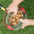 thumbnail image 3 of Rolling Nut Gatherer Adjustable Lightweight Rolling Nut Picker Collector for Lawn Garden, 3 of 8