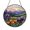 Stained Glass 5.9 Inch, variant on Bright Meadow Wildflower Suncatcher Acrylic Round Panel Present Sun