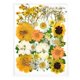 thumbnail image 1 of Rellenos de resina de flores secas para manualidades Tan Jianjun unisex, 1 of 2