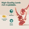 thumbnail image 3 of (12 pack) Jinx Homemades Duck & Lamb Recipe Wet Natural Dog Food 9 oz Pouch, 3 of 11