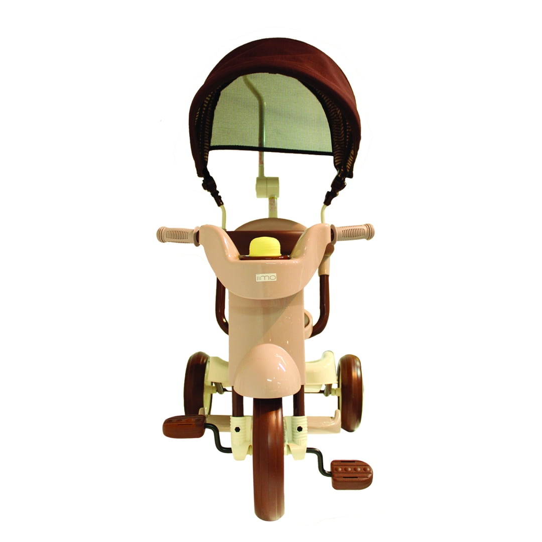 iimo tricycle 1