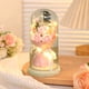 thumbnail image 1 of Lámpara de ambiente con flores preservadas | Miniadorno decorativo LED | Flor eterna iluminada para el hogar, dormitorio, escritorio, regalo | 10 x 20 cm | Decoración festiva para San Valentín y, 1 of 6