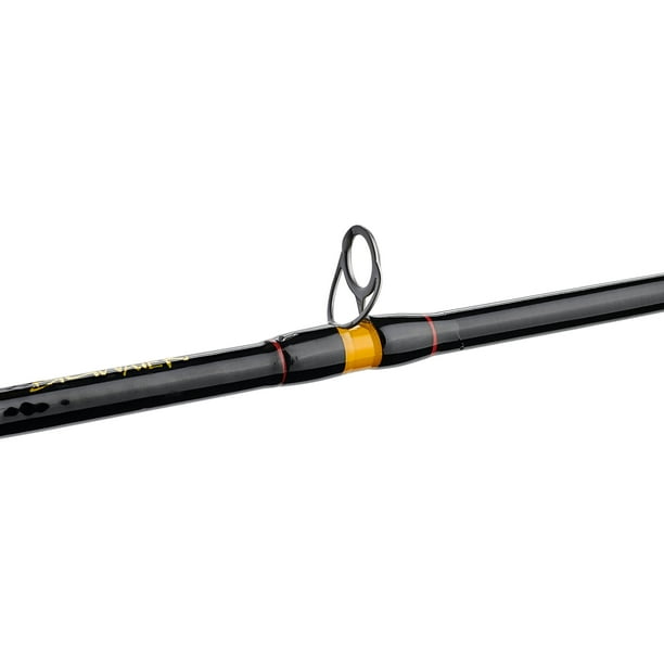 Bigwater Spinning Rod