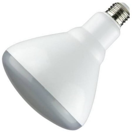 

Sunlite LED Reflector Flood Light Bulb (88080)