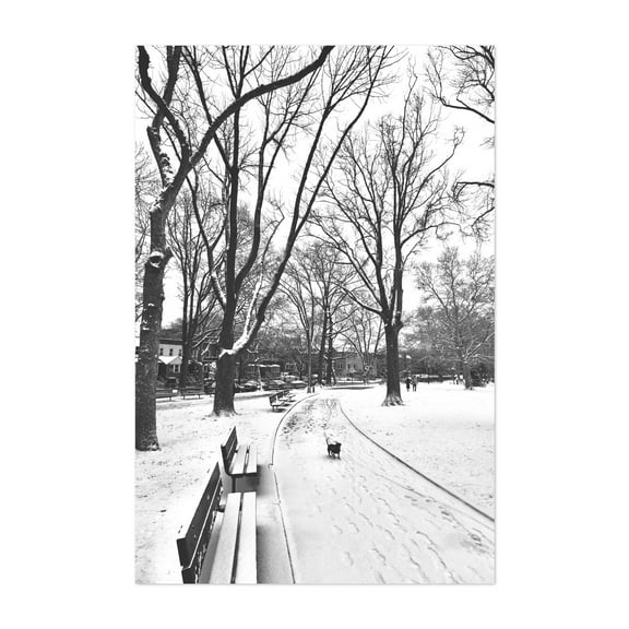 Snowy Winter Path - Queens New York Photography Winter Snow Black and White Dog City Street Photography Unframed Wall Art Print 4 x 6 inches