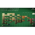 thumbnail image 2 of Schwarzkopf Essensity Hair Color - 7-77 Medium Blonde Copper Extra, 2 of 3
