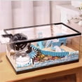 thumbnail image 6 of Large Panoramic Transparent Hamster Cage for Golden Bear, Spacious Habitat, 6 of 6