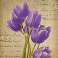 thumbnail image 2 of Greene, Taylor 12x12 Gold Ornate Wood Framed with Double Matting Museum Art Print Titled - PURPLE TULIP I ON GOLD, 2 of 4