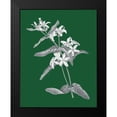 thumbnail image 2 of Wild Apple Portfolio 12x14 Black Modern Framed Museum Art Print Titled - Green Botanical IV, 2 of 5