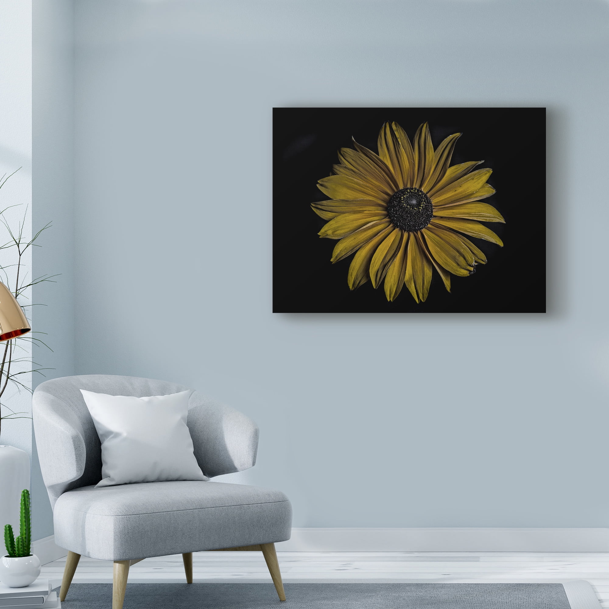 Trademark Fine Art 'Sunflower Bold' Canvas Art by Lori Hutchison