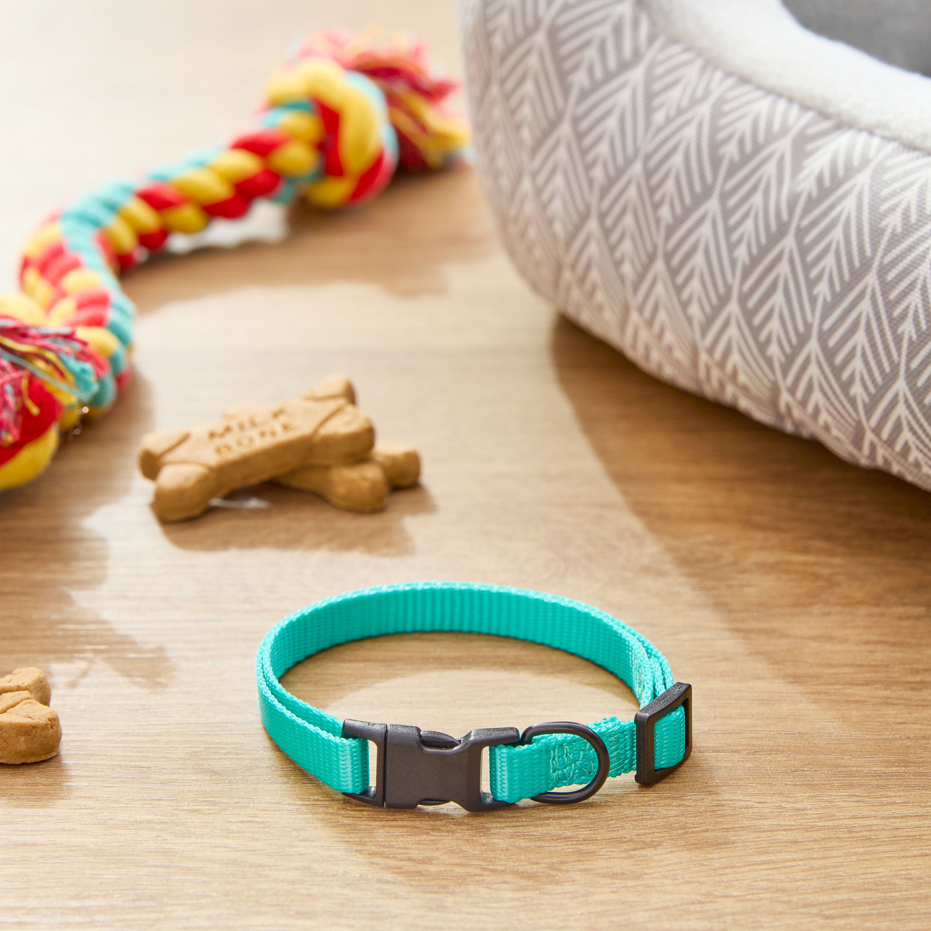 Vibrant Life Polyester Adjustable Dog Collar, Teal, S
