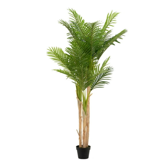 7' Fern Tree In Pot 2Ea/Ctn