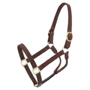 Tough 1 Royal King Leather Track Halter, Brown, Yearling