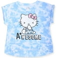 thumbnail image 2 of Hello Kitty Girls 2-Piece Fashion Tee Shirt and Active Short Set with Tie Front Top and Fashion Dolphin Shorts Summer Clothes, 2 of 3