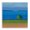 Lone Tree Spring Cove, variant on Stupell Industries After The Storm Beachscape Canvas Wall Art, design by Lynn Ericson Fine Art