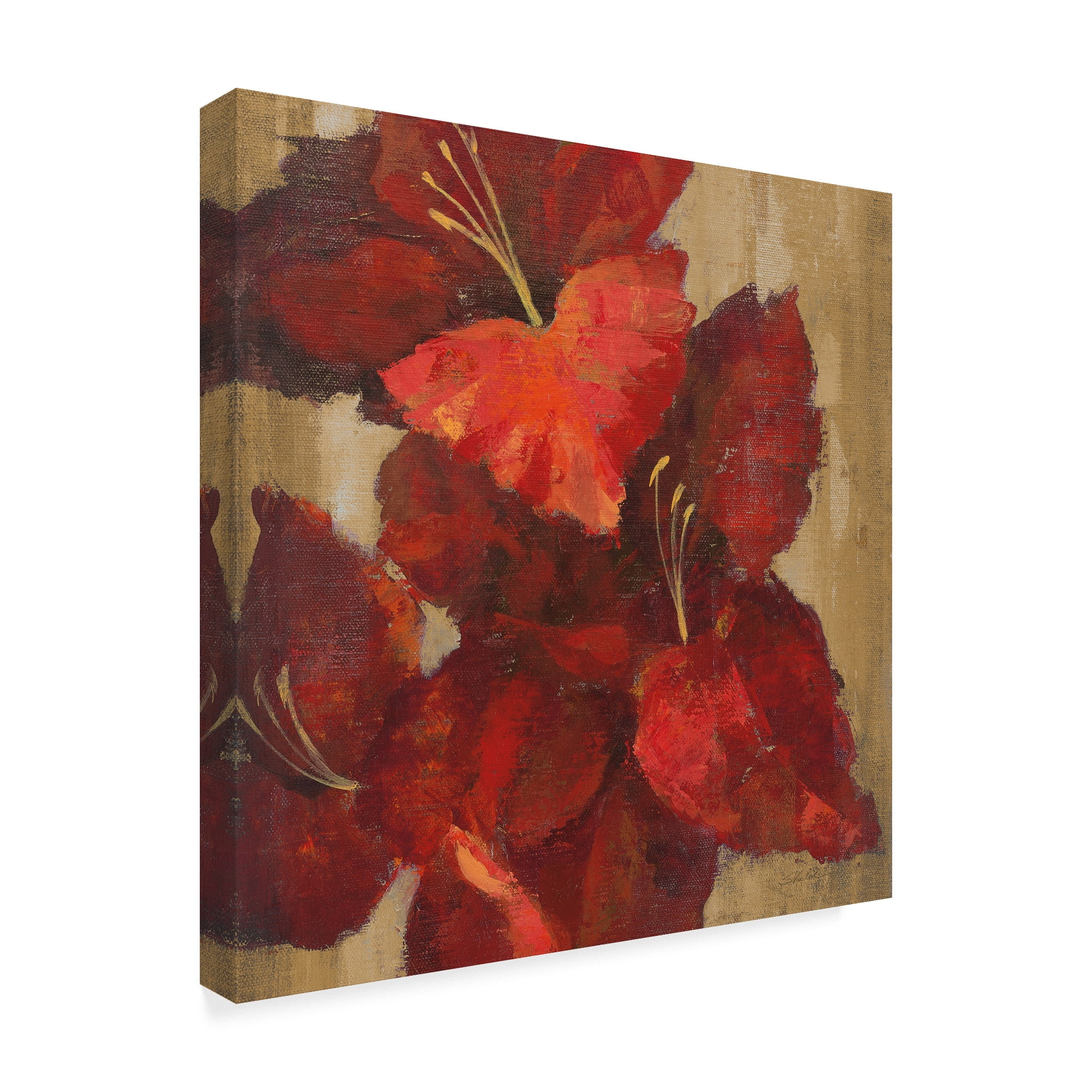 Trademark Fine Art 'Vivid Red Gladiola on Gold Crop' Canvas Art by Silvia Vassileva