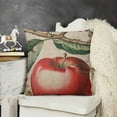 thumbnail image 2 of SHANXI Fall Decor Farm Decorative for Sofa Couch Fruit Decorations Throw Pillowcase 24x24in, 2 of 5