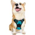 thumbnail image 1 of Rabbitgoo Arnés para Perros, Arnés para Mascotas sin Tirones con 2 Clips para Correa, Chaleco para Perros Acolchado Suave y Ajustable, Chaleco Oxford Reflectante para Mascotas sin asfixia con asa de f, 1 of 4