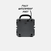 Turtlebox Cub Gray Portable Bluetooth Speaker