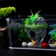 thumbnail image 4 of BEADCEST Piedra Decorativa Para Acuario Con Refugio Ideal Y Material Para Peces, 4 of 6
